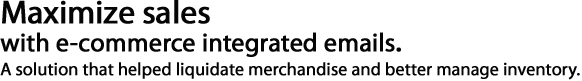 maximize sales